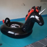 Inflatable-Gothic-Unicorn-Pool-Float