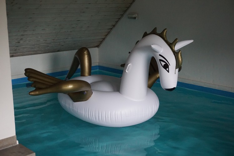 Inflatable-Pegasus.jpg