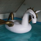 Inflatable-Pegasus