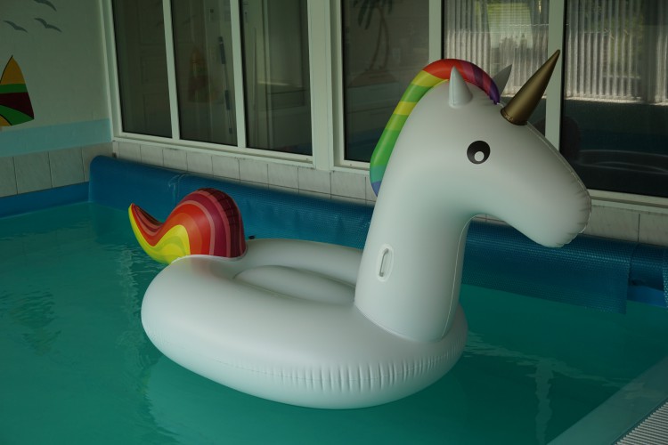Inflatable-Unicorn.jpg