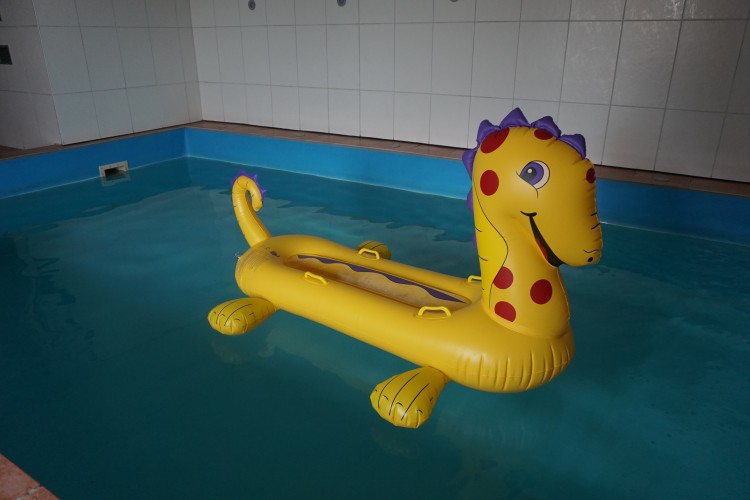 Royalbeach-Yellow-Sea-Horse.jpg