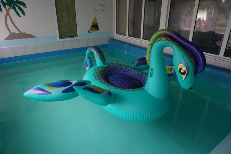 SunDaze-Giant-Sea-Monster-Pool-Float-Nessie.jpg