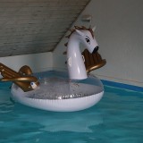 inflatable-Crivit-Pegasus